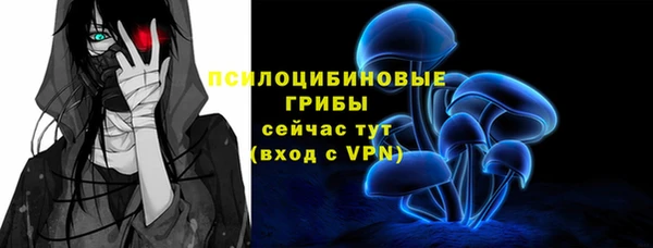 стафф Нягань